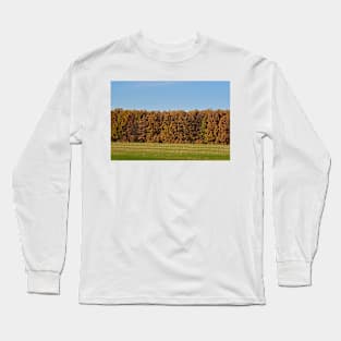 Oak forest in the autumn Long Sleeve T-Shirt